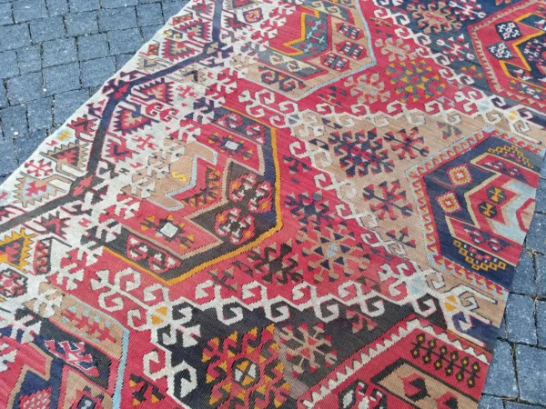 Coloria Fathia - Bilde 2